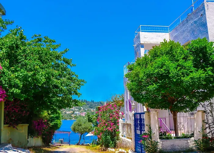 Bed & Breakfast Hayal