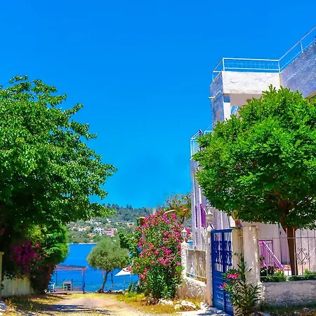 Bed and breakfast Hayal