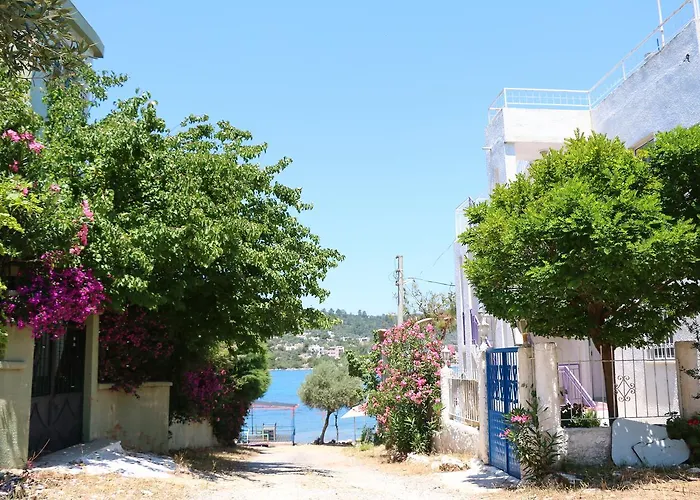 Hayal * Kıyıkıslacık